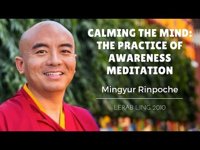 Mingyur Rinpoche ~ Calming the Mind: The Practice of Awareness Meditation