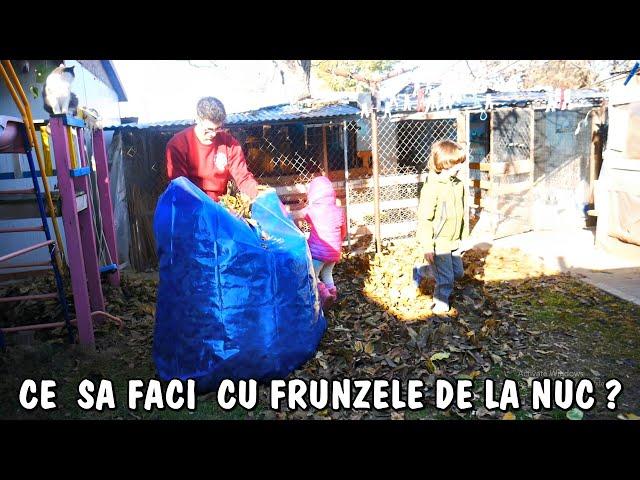 TU știai că poți face acest lucru cu frunzele de la NUC? la joaca cu copiii în timp ce muncim