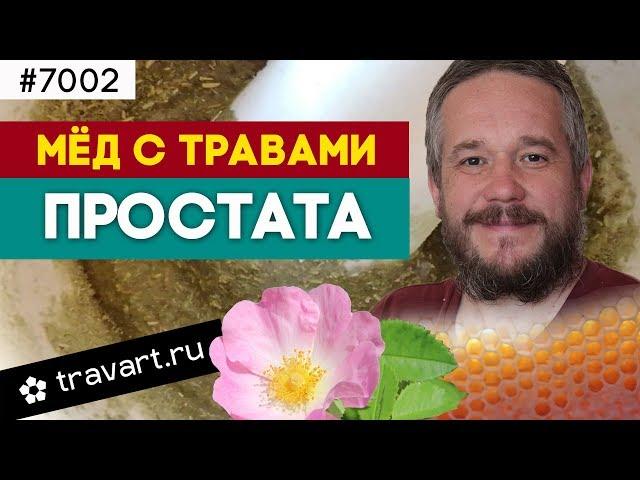 Мед с травами. Профилактика простатита. Траварт #7002 Животворец Андрей Протопопов