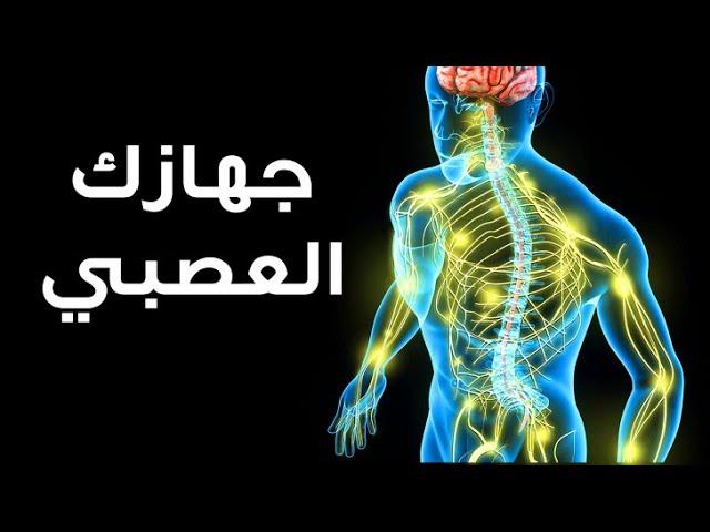 رحلة عبر جهازك العصبي