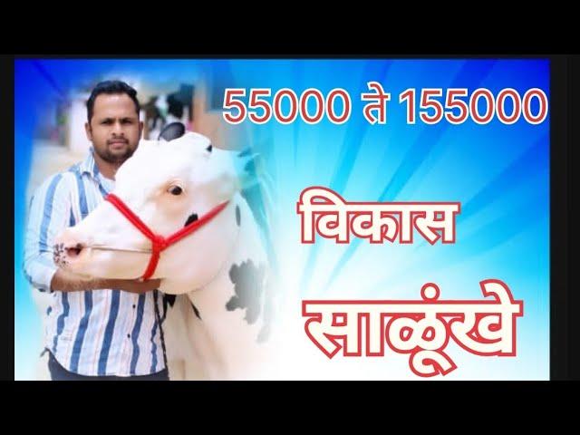 55000 ते 155000