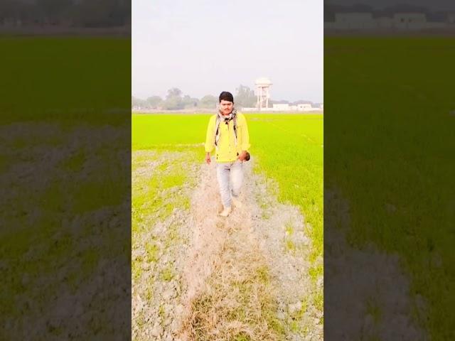siraj khan
