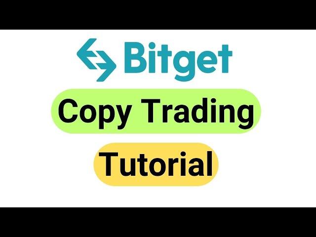 Bitget Exchange Copy Trading Tutorial - Detailed Beginner's Guide