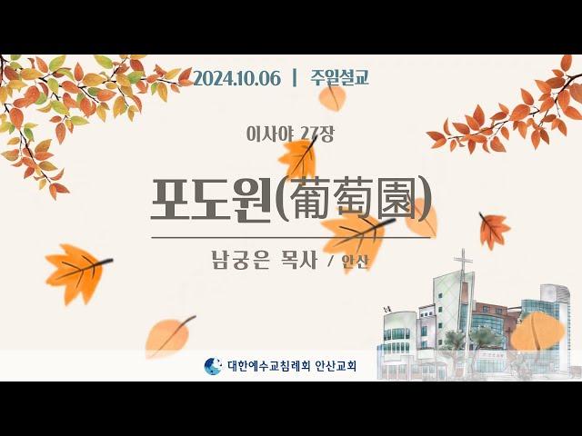 [주일설교] 포도원(葡萄園) _ 남궁은목사 24.10.06