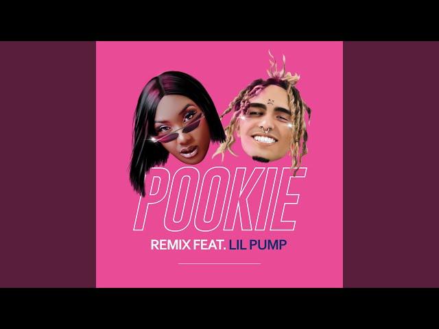 Pookie (feat. Lil Pump) (Remix)