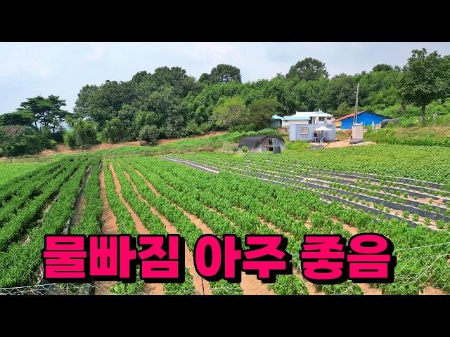 (NO.8368) #계획관리지역 #넓은밭 대지 #백월산자락 1131평 (3738㎡) 1억8천만원