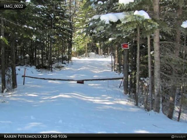 Homes for Sale - 11555 Cecil Bay Road, Carp Lake, MI