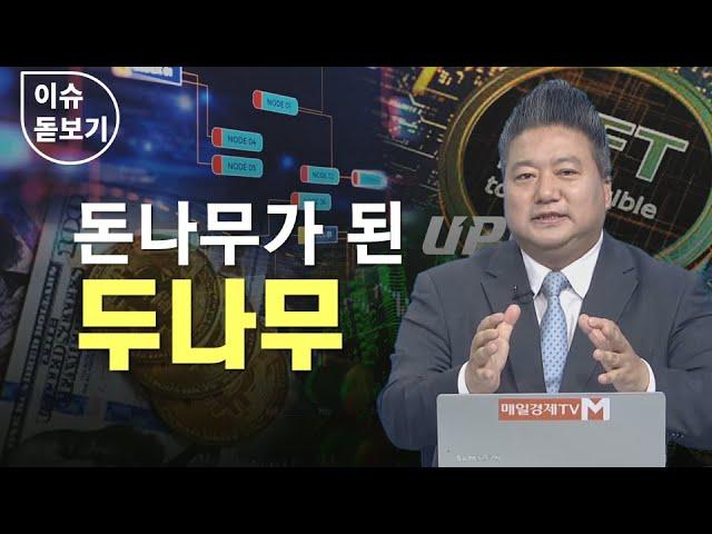 [이슈 돋보기] 돈나무가 된 두나무 - 배종찬 / 인사이트K연구소 소장 / 매일경제TV