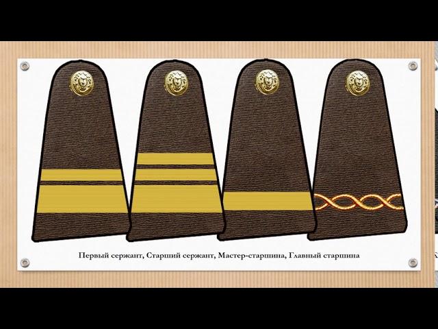 Знаки различия армии Аргентины