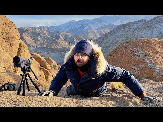 The day i faced death in the Himalayas (Snow Leopards)