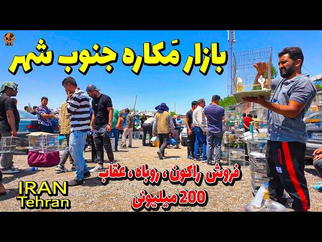 IRAN Walking tour in the Amazing Bazaar 2024 (Parandegan Bazaar) south of Tehran - iran 4k vlog