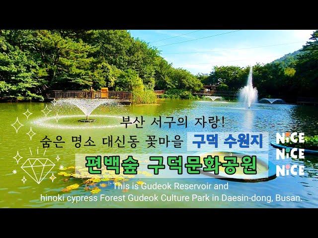 Driving in Busan/Korea/부산의 숨은 명소 대신동 꽃마을 수원지와 구덕문화공원-대티터널까지 가이드