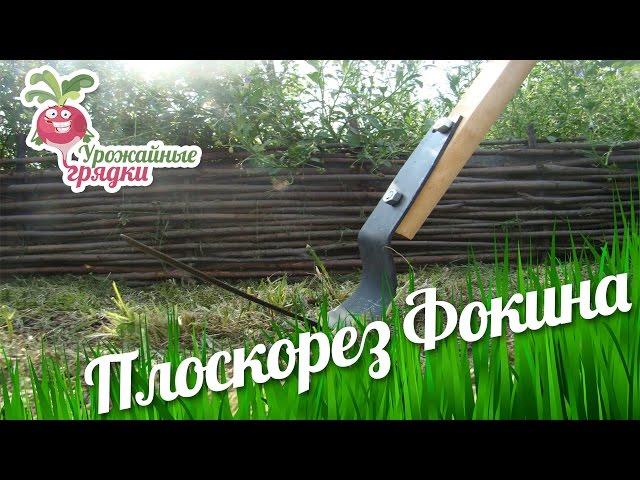 Плоскорез Фокина. Урожайные грядки.