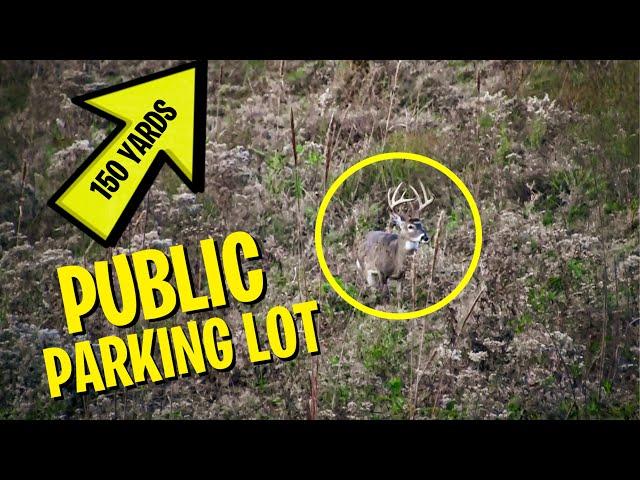 PUBLIC LAND BUCK Bedded by the Access! - Flash Back Hunt That Taught Me Something