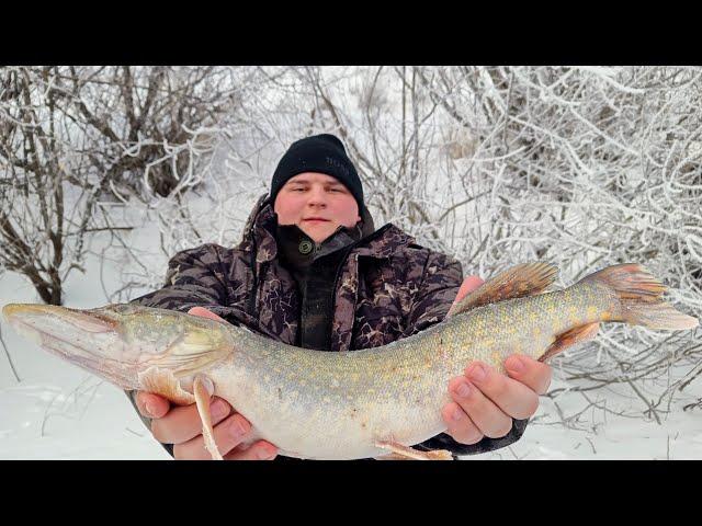 Fishing 2025 CAUGHT fish on a grabber Fishing on a grabber in winter Fishing on a float Fishing