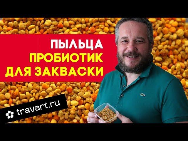 Пыльца - пробиотик для закваски. Траварт