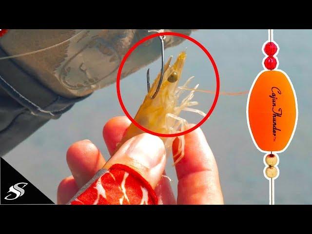 Rigging & Fishing with a Popping Cork + Shrimp!