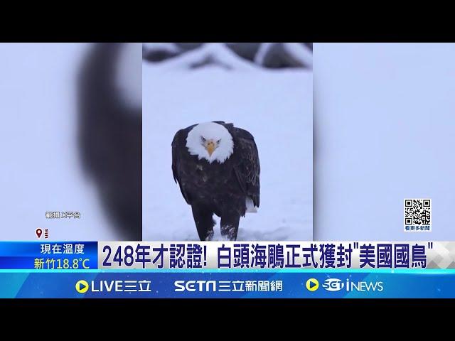 248年才認證! 白頭海鵰正式獲封"美國國鳥" 拜登耶誕夜簽署法案 白頭海鵰定為"美國國鳥"│記者 黃瓊慧│國際焦點20250102│三立新聞台