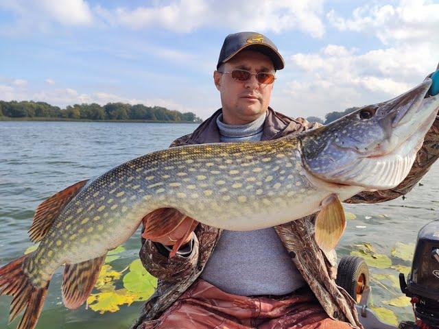 ОГРОМНЫЕ ЩУКИ одна за одной. Рыбалка на Крупный Силикон. Троллинг.