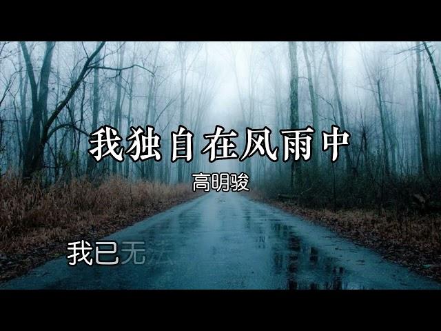 我独自在风雨中  - 高明骏 【我独自在风雨中让纷乱的心绪】【动态歌词Lyrics】