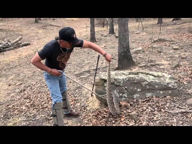 Catching and Bagging 6-foot Rattlesnake