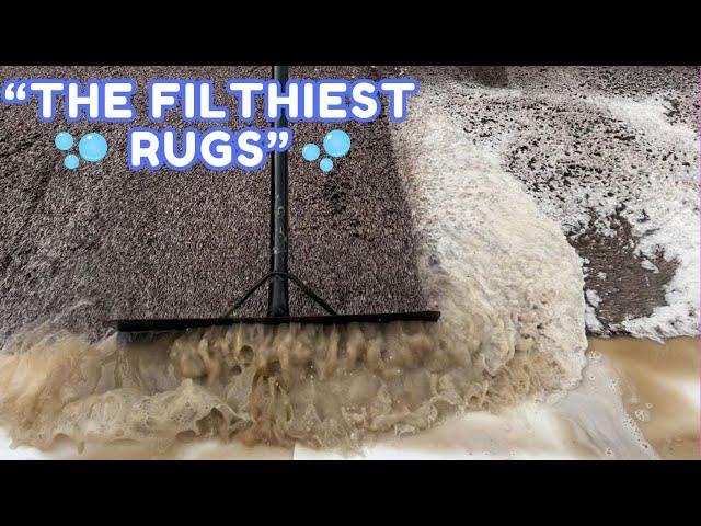 Squeegeeing the dirtiest Rugs!!! | relaxing satisfying asmr