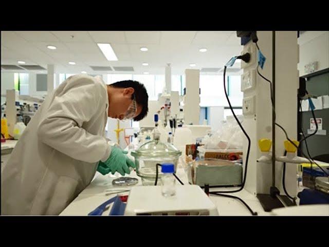 School of Mathematical and Physical Sciences, University of Technology Sydney