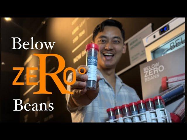 Preserving Coffee Freshness with the Below Zero Beans Method | Frozen Beans
