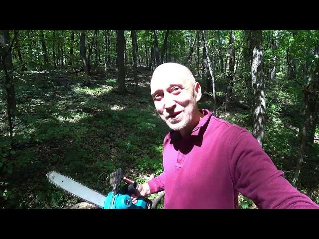 Wooden bricks for building in the forest. I prepare them with two saws at once!