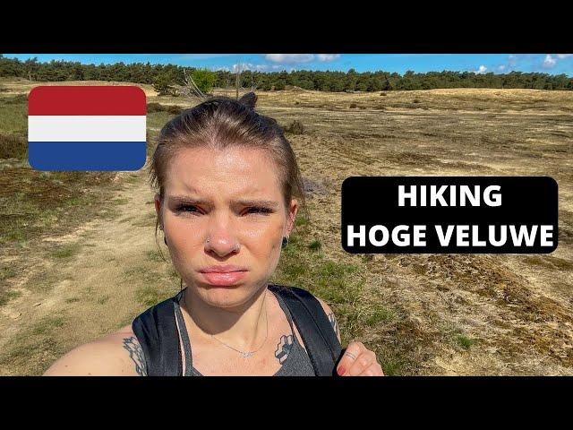 Hiking from one side of National Park De Hoge Veluwe to the other! (Hoenderloo to Schaarsbergen)