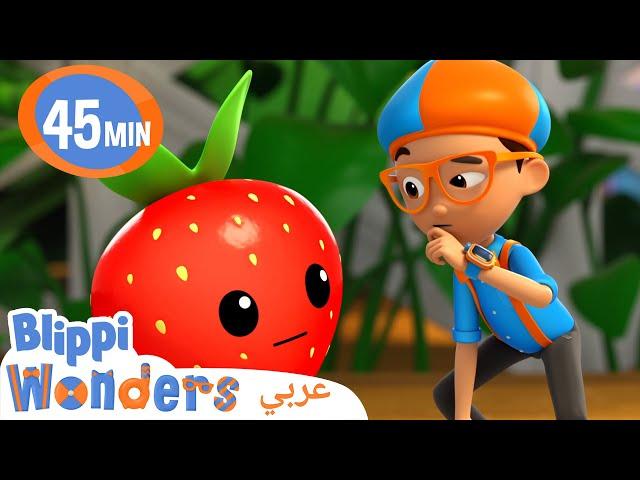 الفرق بين الخضر والفواكه | بليبي بالعربي | كرتون بليبي - Fruit & Vegetables