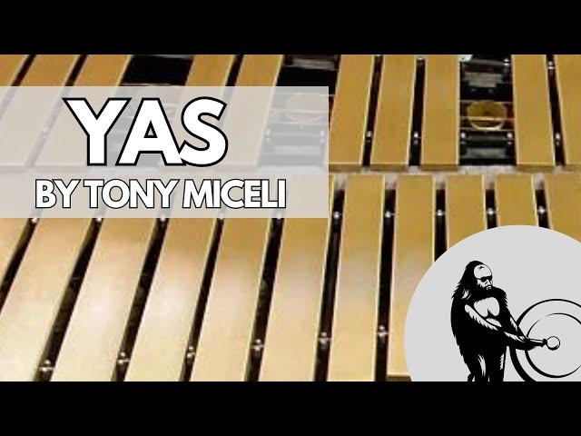 YAS by Tony Miceli | The 2024 Steve Weiss Mallet Festival