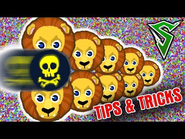 Cannonsplit, Vanishsplit, Double Tricksplit - Agar.io Tricks | Agario Gameplay