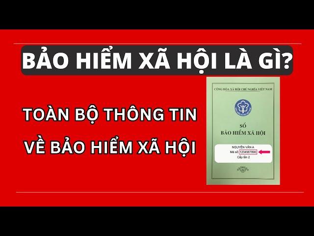 Bảo hiểm xã hội là gì? Toàn bộ thông tin về Bảo hiểm xã hội