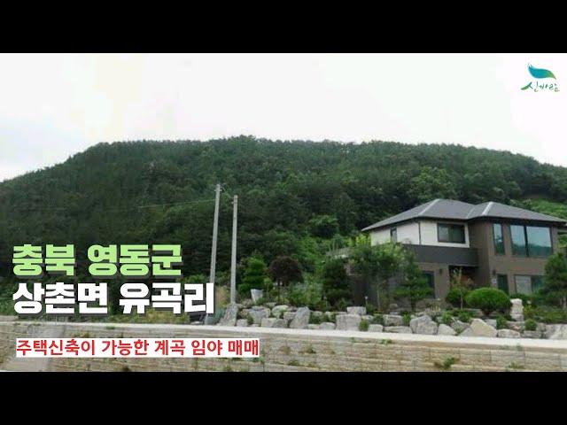 [신바람 오늘의 매물 - 인터넷 주소창에 집파고.com 입력해주세요 ]충북 영동군 상촌면 유곡리 산 매매- 시골집매매, 농가주택매매, 전원주택부지 매매