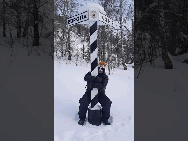 Еноты - они везде! Еноты - они всегда!!!