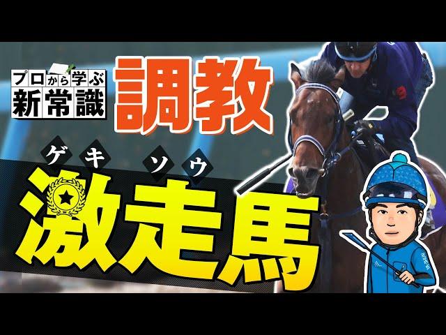 【調教の見方】プロが激走馬の見極め方を伝授！元同僚の獣医師と語る調教新常識！【競馬予想】