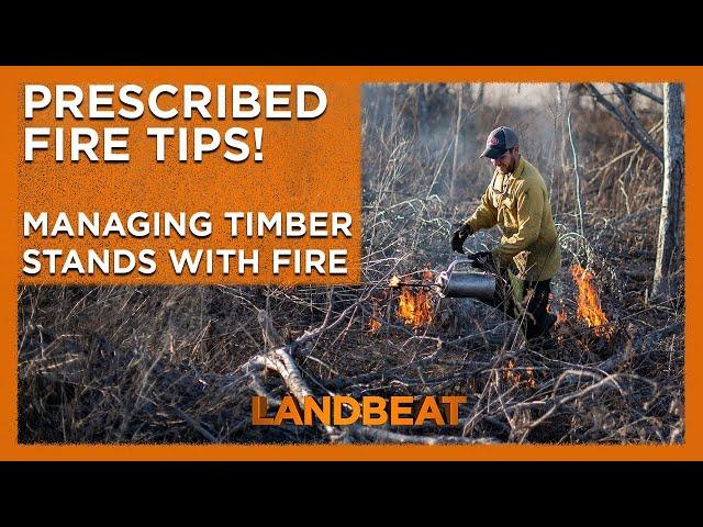  Prescribed Fire Tips | Managing Timber Stands With Fire 