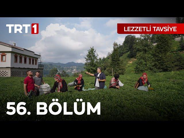 Lezzetli Tavsiye 56. Bölüm