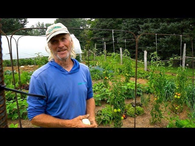 Living Soil Abundance! Jim Kovaleski’s Most Established Garden in Maine