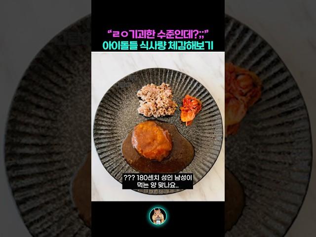 기괴한 수준이라는 아이돌 식사량 체감해보기