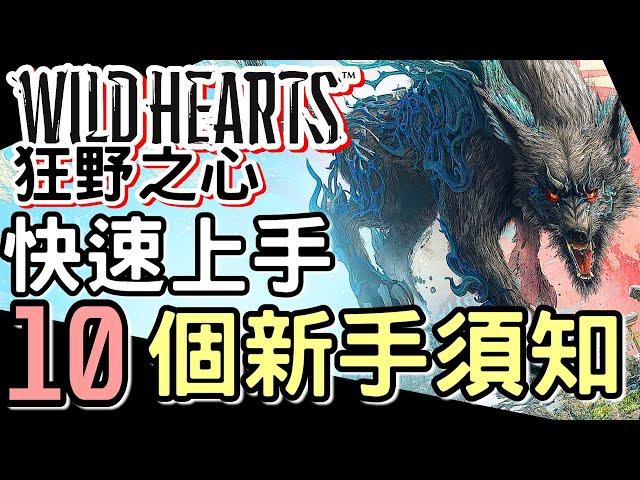 【Wild Hearts 狂野之心】#1 讓你快速上手:10個新手需知 | 如何製作多個營地 快速發現化獸 獵人之臂使用方式 素材獲得大量化