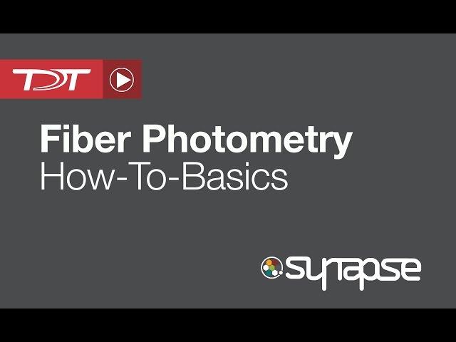 Fiber Photometry - RZ5P Processor - TDT