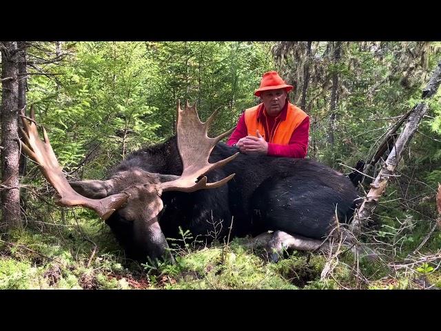 2024 Maine Bull Moose hunt