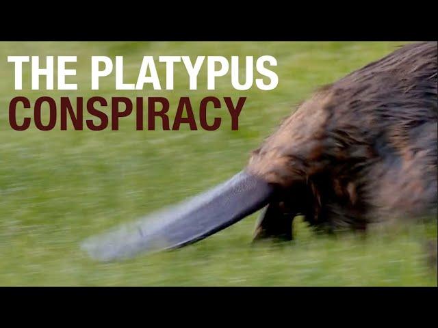 The Platypus Conspiracy