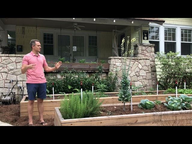 Discover the Upside to Gardening