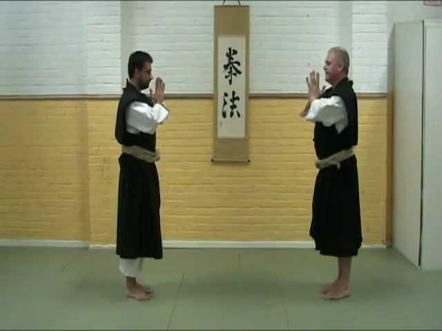 Ushiro Ryusui Geri