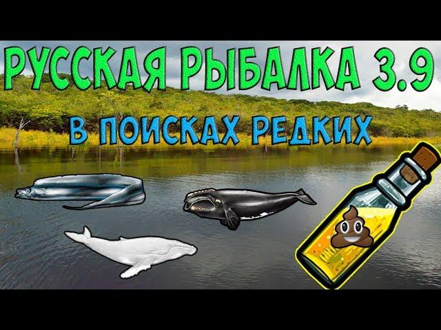 Русская рыбалка 3.9. В поисках новых редких!