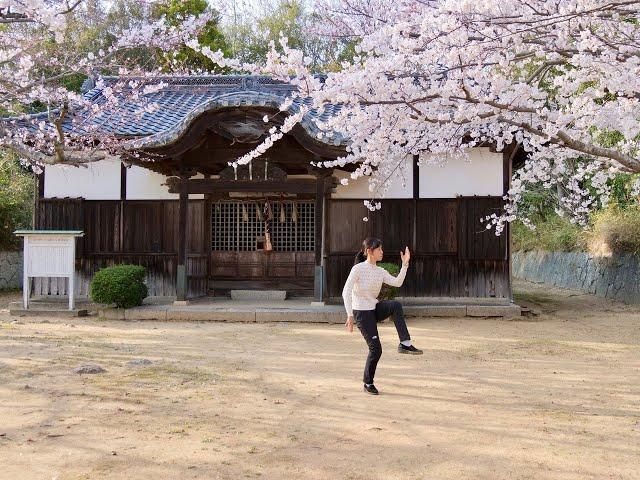 William C.C. Chen 60 Movements Tai-chi Short Form by Kiyoko Kashiwagi 陳至誠 60式 伝統楊式太極拳 by 柏木規与子