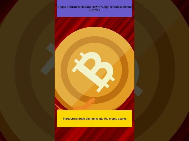 Crypto Transactions Slow Down: A Sign of Stable Market in 2024?